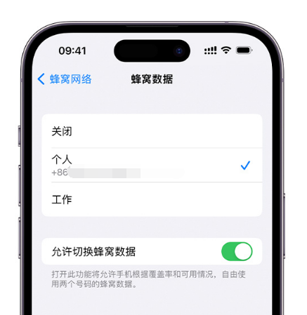 漳平苹果维修服务分享如何在iPhone上使用双卡 